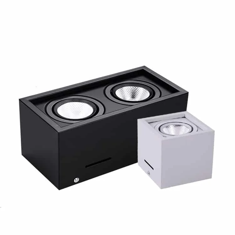 Downlight đôi lắp nổi