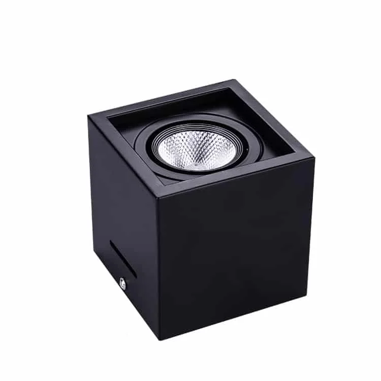 Downlight đôi lắp nổi 10–70 W — trắng và đen