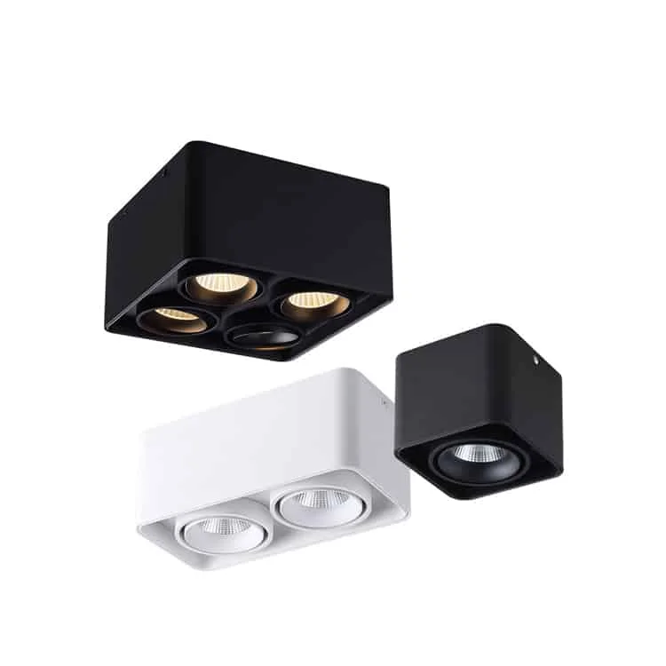 Downlight lắp nổi