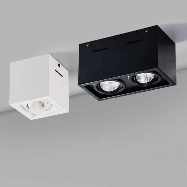 Downlight lắp nổi một hoặc hai đầu rọi điều chỉnh hướng