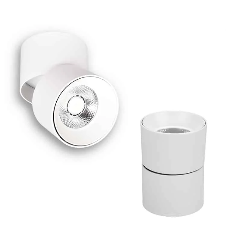 Downlight điều chỉnh hướng