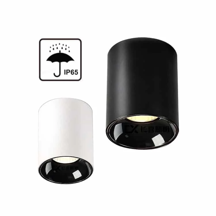 Downlight trụ lắp nổi IP65