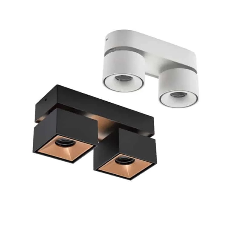 Downlight đôi lắp nổi điều chỉnh hướng độc lập